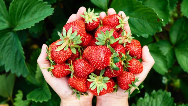 Jahodové gazpacho nebo crumble: vyzkoušejte letní bezlepkové recepty
